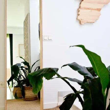 Miwa Realejo Horizon