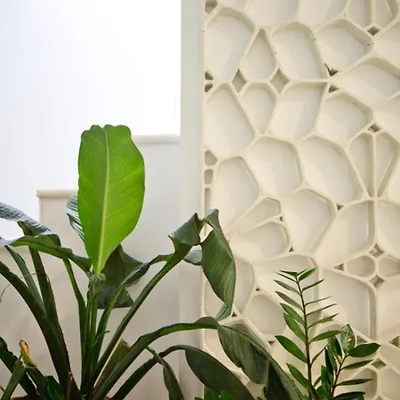 De Diseno Con Jacuzzi Privado Granada